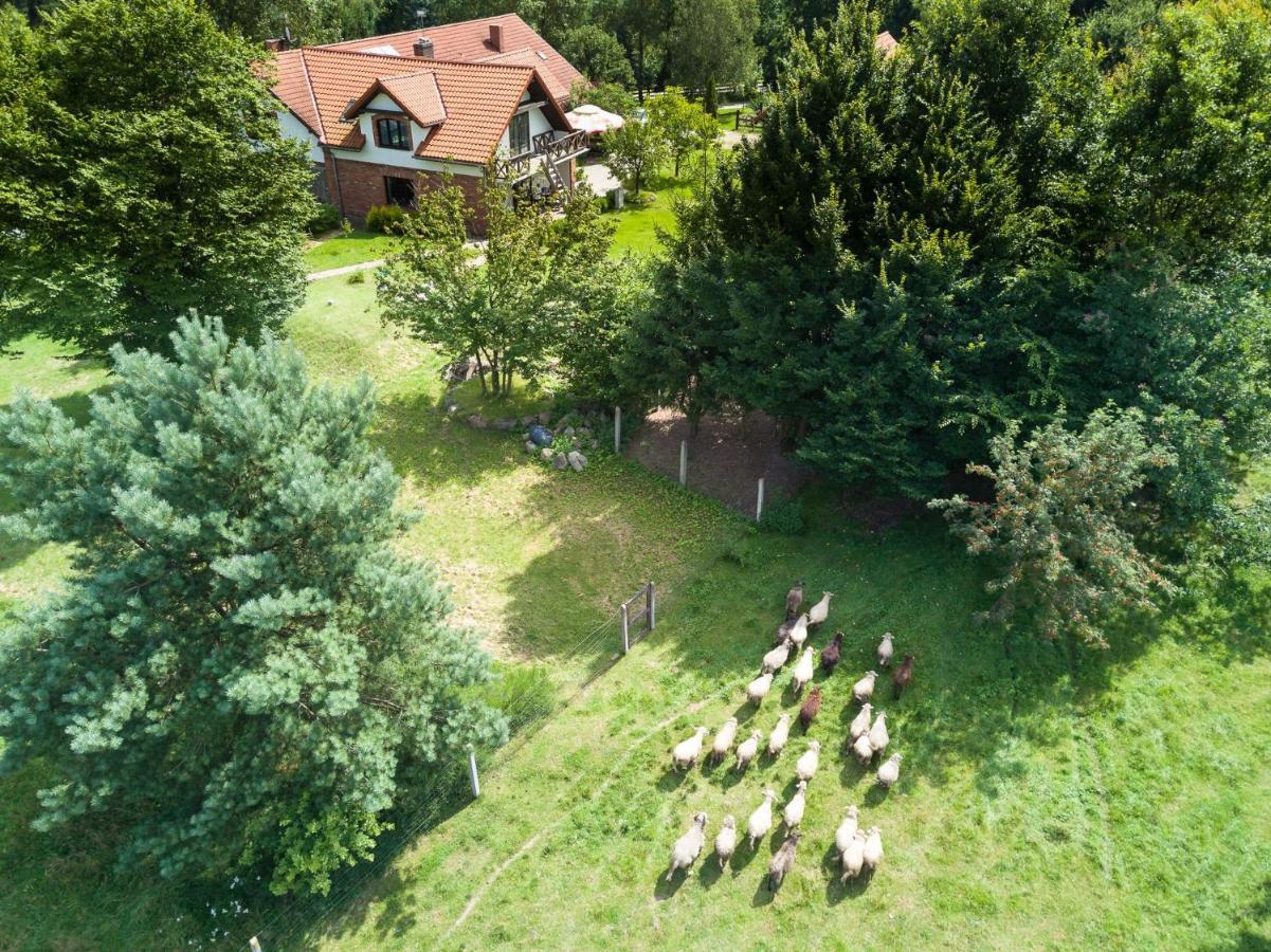 U Magdy Villa Ostrowice Exterior foto