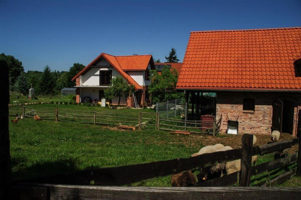 U Magdy Villa Ostrowice Exterior foto